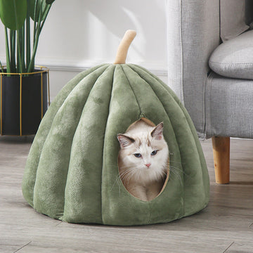 Pet