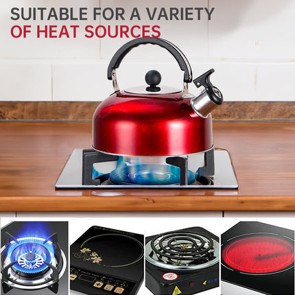 SAMA 3L Stainless Steel Whistling Kettle for Gas – Comfortable Handle