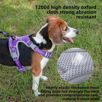 Adjustable Dog Harness with Leash - S–XL