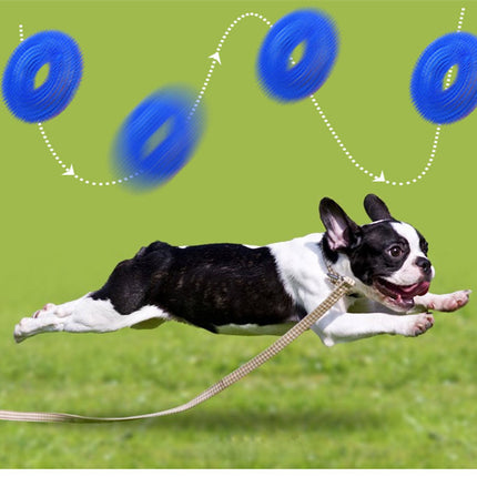 Squeaky TPR Dog Chew Ring Toy