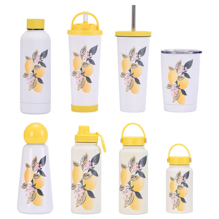 Multi-Size Wide-Mouth Thermos Cup with Straw - 350–1000 mL
