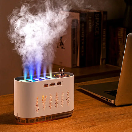 USB Aromatherapy Humidifier with Multi-Mist Outlet