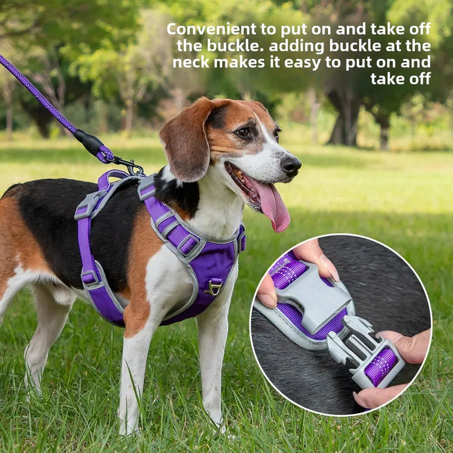 Adjustable Dog Harness with Leash - S–XL
