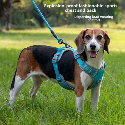Adjustable Dog Harness with Leash - S–XL