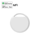 IT13 White