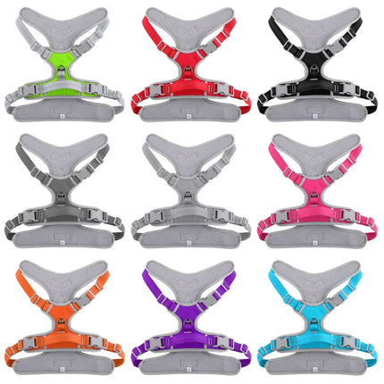 Adjustable Dog Harness with Leash - S–XL