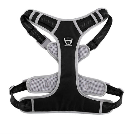 Adjustable Dog Harness with Leash - S–XL