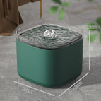 Standard paragraph / Transparent Edge-Green