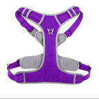 S / Purple