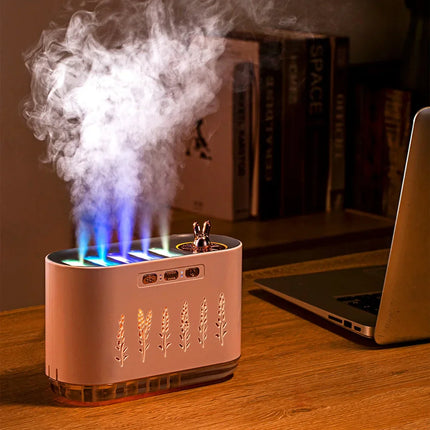 USB Aromatherapy Humidifier with Multi-Mist Outlet